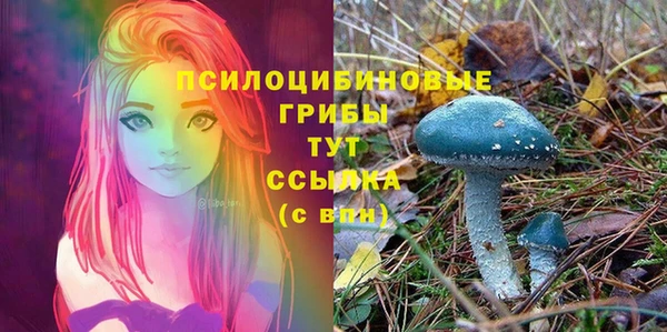 индика Балахна