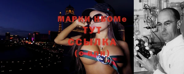 индика Балахна