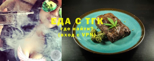 индика Балахна