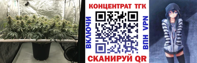 ссылка на мегу маркетплейс  хочу   Ленинск-Кузнецкий  ТГК THC oil 